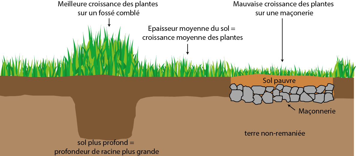 Cropmarks_soilmarks